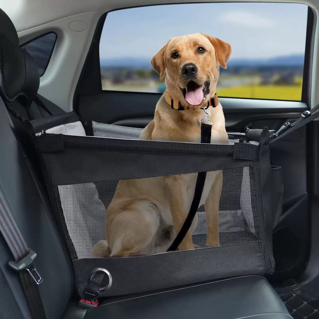 PawRide™ Car Seat